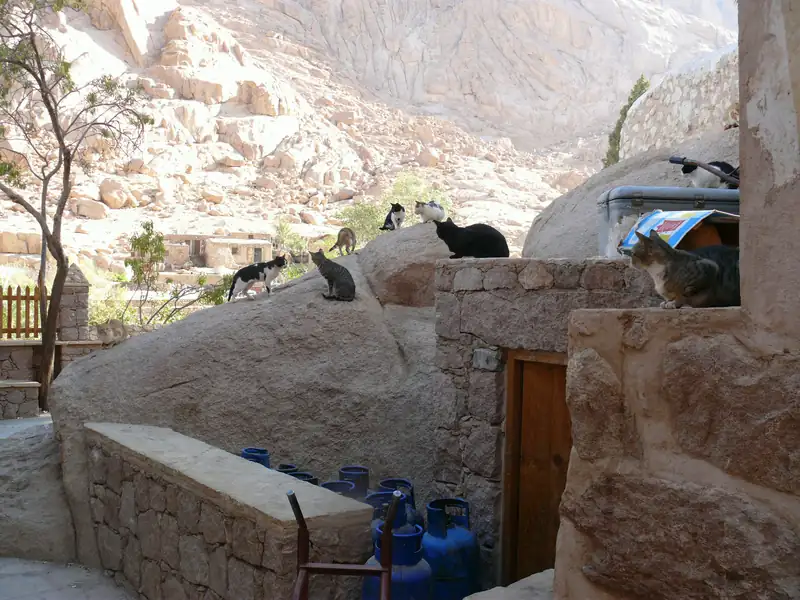 Saint Catherine's Monastery, Mount Sinai (9200943540)